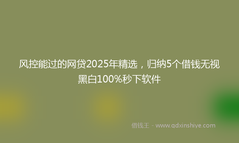 风控能过的网贷2025年精选，归纳5个借钱无视黑白100%秒下软件