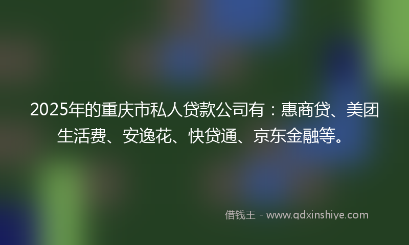 2025年的重庆市私人贷款公司有：惠商贷、美团生活费、安逸花、快贷通、京东金融等。