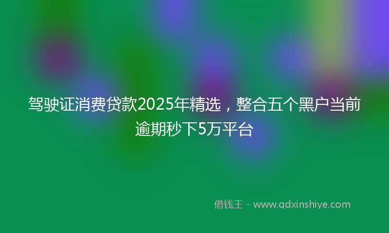 驾驶证消费贷款2025年精选，整合五个黑户当前逾期秒下5万平台