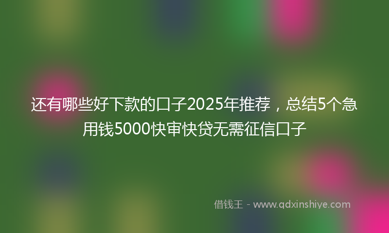 还有哪些好下款的口子2025年推荐，总结5个急用钱5000快审快贷无需征信口子