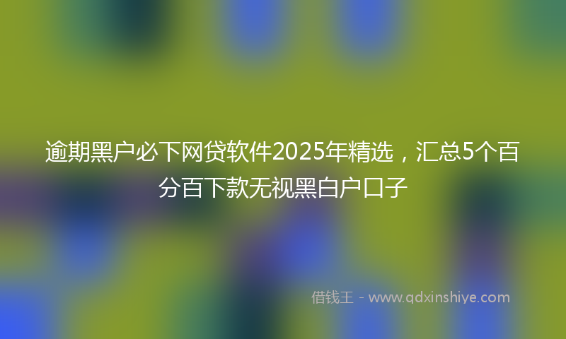 逾期黑户必下网贷软件2025年精选，汇总5个百分百下款无视黑白户口子