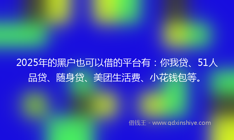 2025年的黑户也可以借的平台有：你我贷、51人品贷、随身贷、美团生活费、小花钱包等。