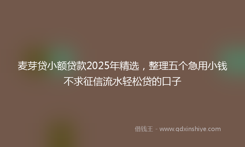 麦芽贷小额贷款2025年精选，整理五个急用小钱不求征信流水轻松贷的口子
