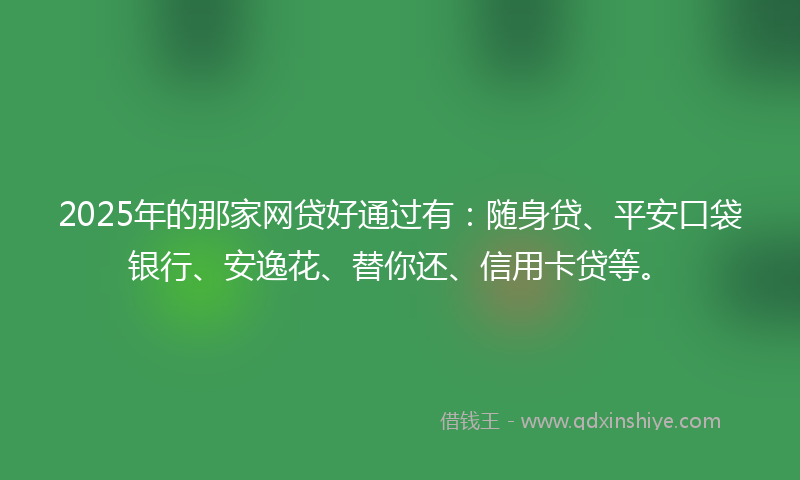 2025年的那家网贷好通过有：随身贷、平安口袋银行、安逸花、替你还、信用卡贷等。