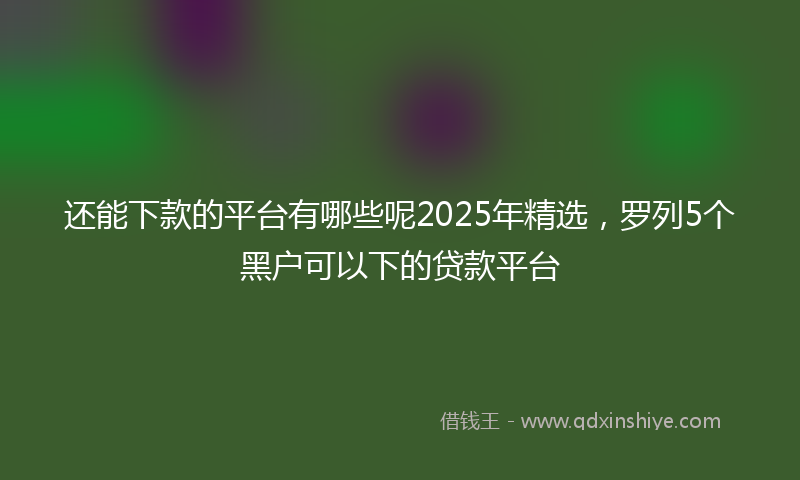 还能下款的平台有哪些呢2025年精选，罗列5个黑户可以下的贷款平台