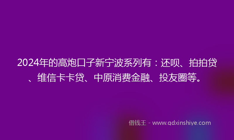 2024年的高炮口子新宁波系列有：还呗、拍拍贷、维信卡卡贷、中原消费金融、投友圈等。