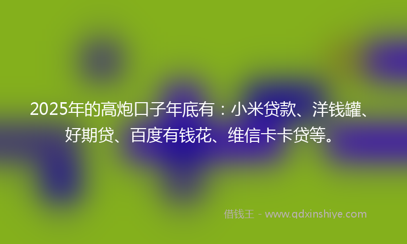 2025年的高炮口子年底有：小米贷款、洋钱罐、好期贷、百度有钱花、维信卡卡贷等。