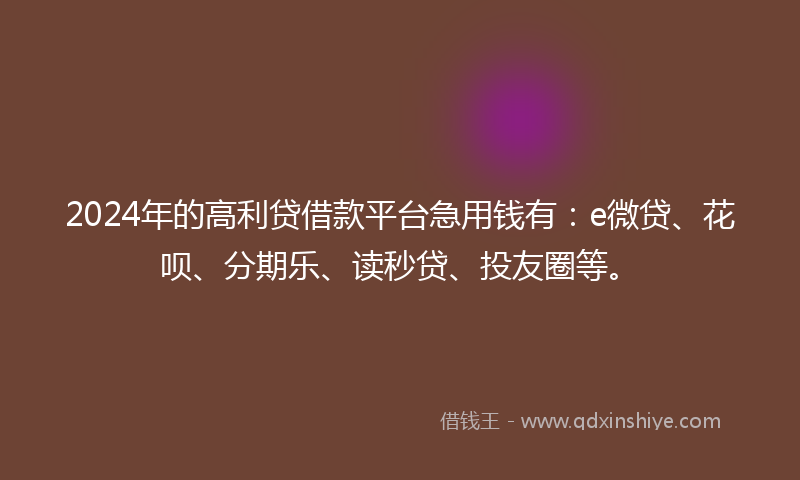 2024年的高利贷借款平台急用钱有：e微贷、花呗、分期乐、读秒贷、投友圈等。