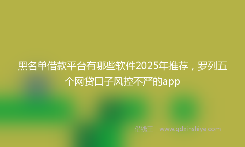 黑名单借款平台有哪些软件2025年推荐，罗列五个网贷口子风控不严的app