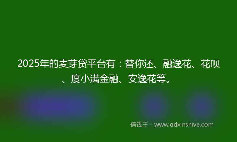 2025年的麦芽贷平台有：替你还、融逸花、花呗、度小满金融、安逸花等。