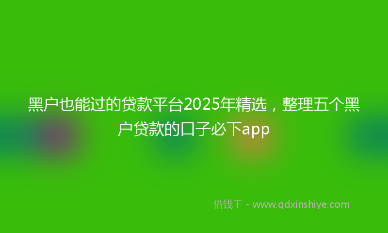 黑户也能过的贷款平台2025年精选，整理五个黑户贷款的口子必下app