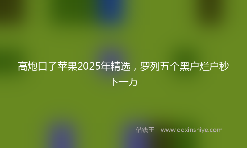高炮口子苹果2025年精选，罗列五个黑户烂户秒下一万