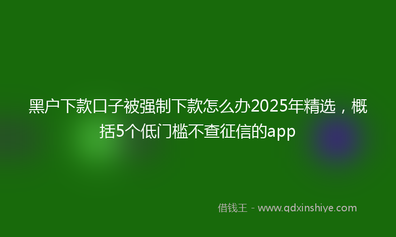 黑户下款口子被强制下款怎么办2025年精选，概括5个低门槛不查征信的app