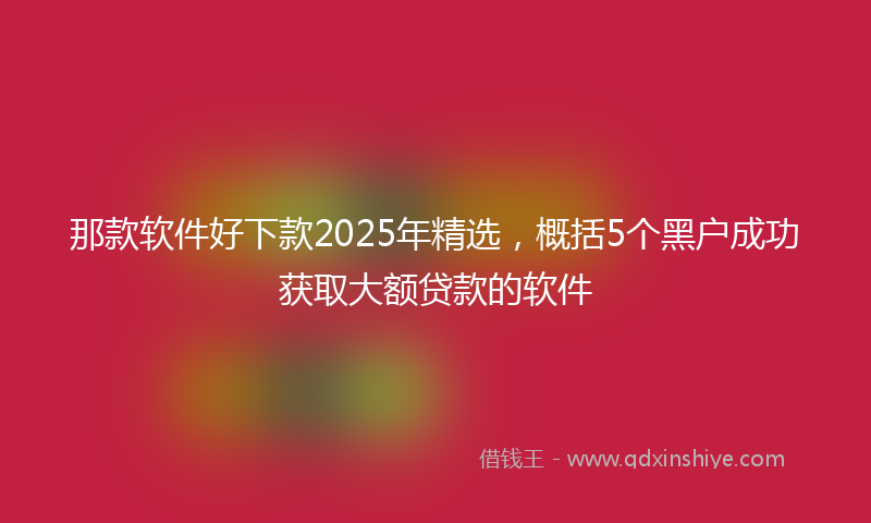 那款软件好下款2025年精选，概括5个黑户成功获取大额贷款的软件