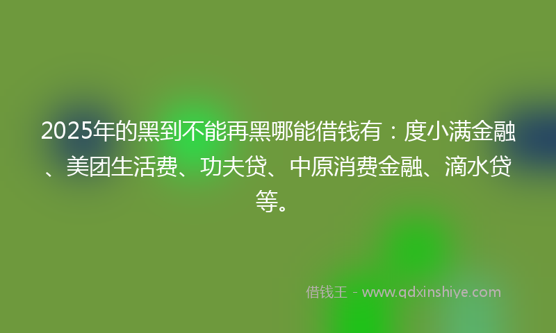 2025年的黑到不能再黑哪能借钱有：度小满金融、美团生活费、功夫贷、中原消费金融、滴水贷等。