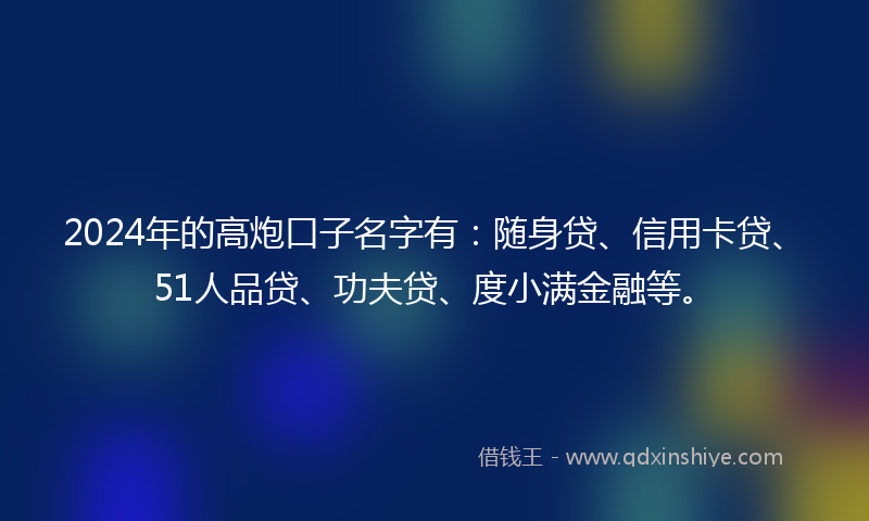 2024年的高炮口子名字有：随身贷、信用卡贷、51人品贷、功夫贷、度小满金融等。