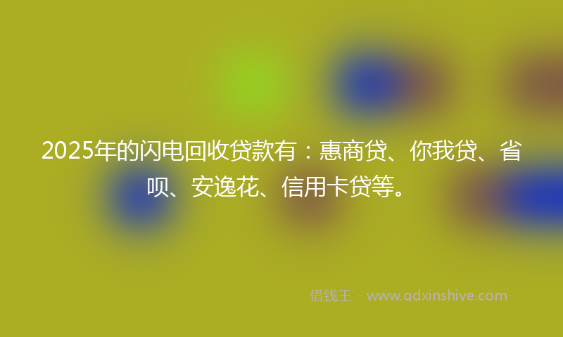 2025年的闪电回收贷款有:惠商贷、你我贷、省呗、安逸花、信用卡贷等。