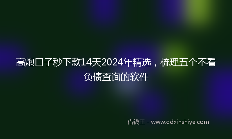 高炮口子秒下款14天2024年精选，梳理五个不看负债查询的软件