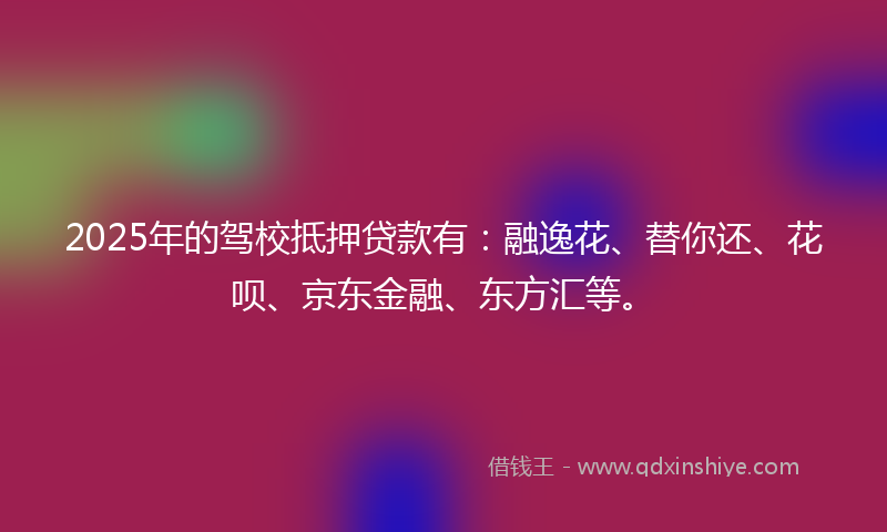 2025年的驾校抵押贷款有：融逸花、替你还、花呗、京东金融、东方汇等。
