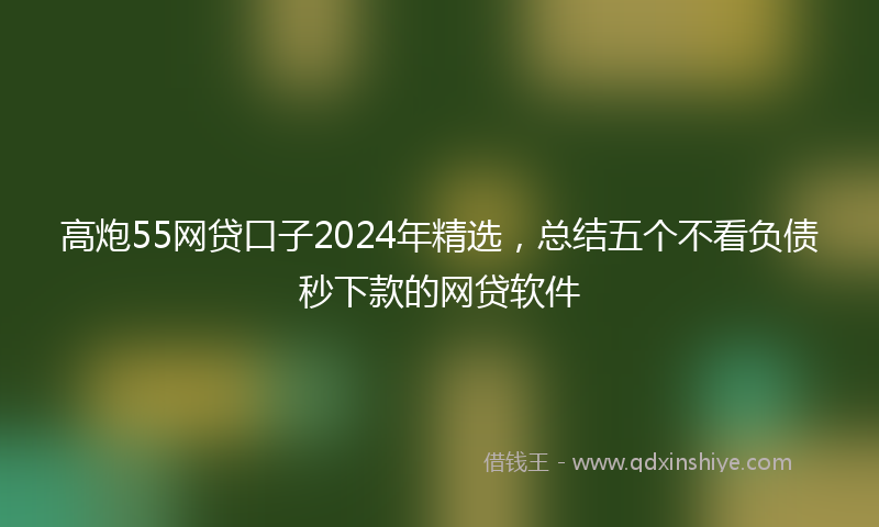 高炮55网贷口子2024年精选，总结五个不看负债秒下款的网贷软件