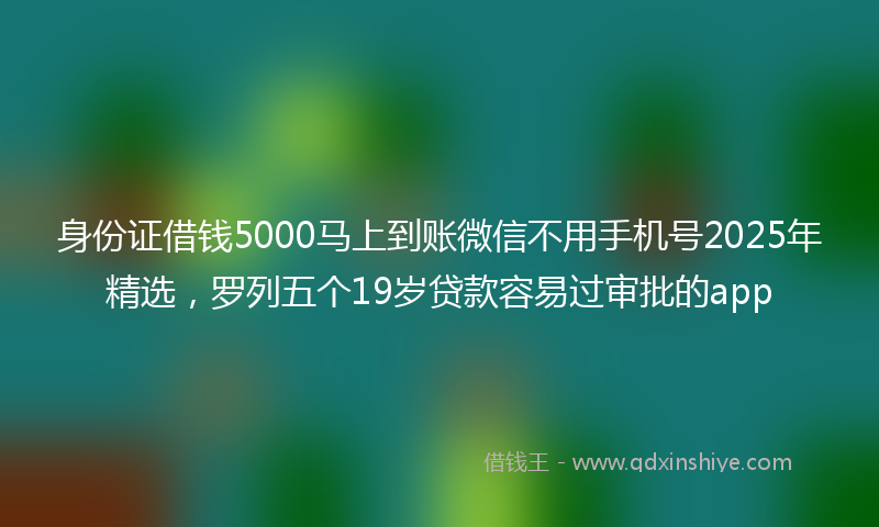 身份证借钱5000马上到账微信不用手机号2025年精选，罗列五个19岁贷款容易过审批的app