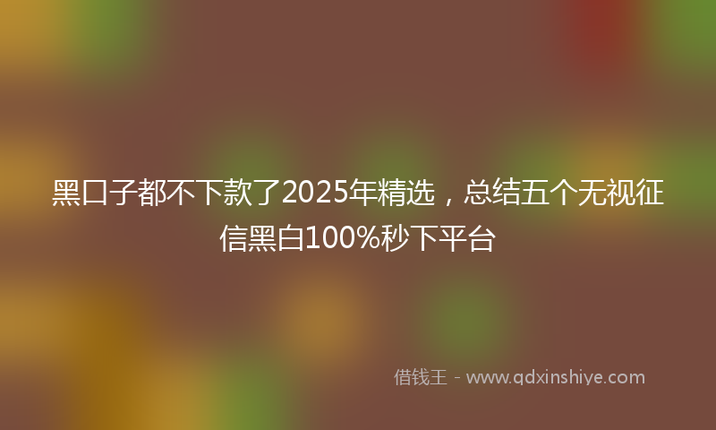 黑口子都不下款了2025年精选，总结五个无视征信黑白100%秒下平台