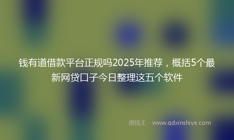 钱有道借款平台正规吗2025年推荐，概括5个最新网贷口子今日整理这五个软件