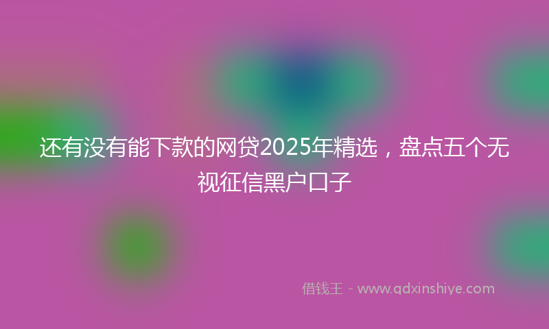 还有没有能下款的网贷2025年精选，盘点五个无视征信黑户口子