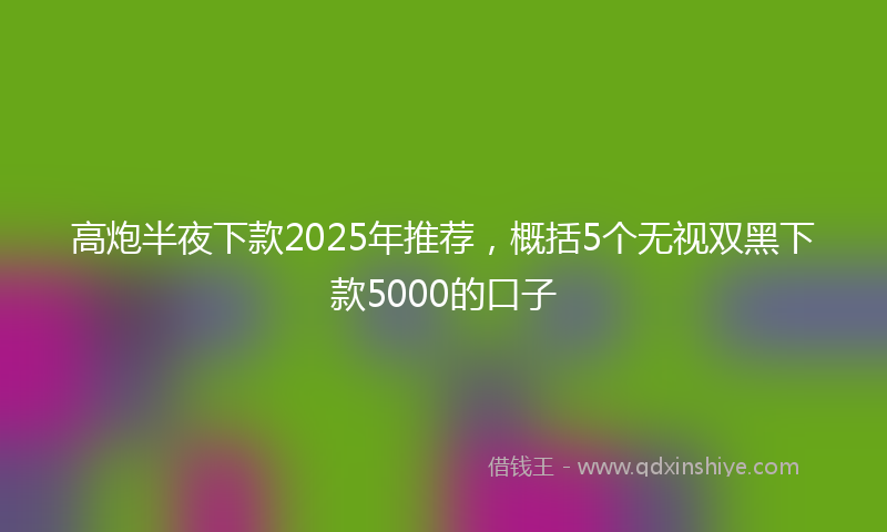 高炮半夜下款2025年推荐，概括5个无视双黑下款5000的口子