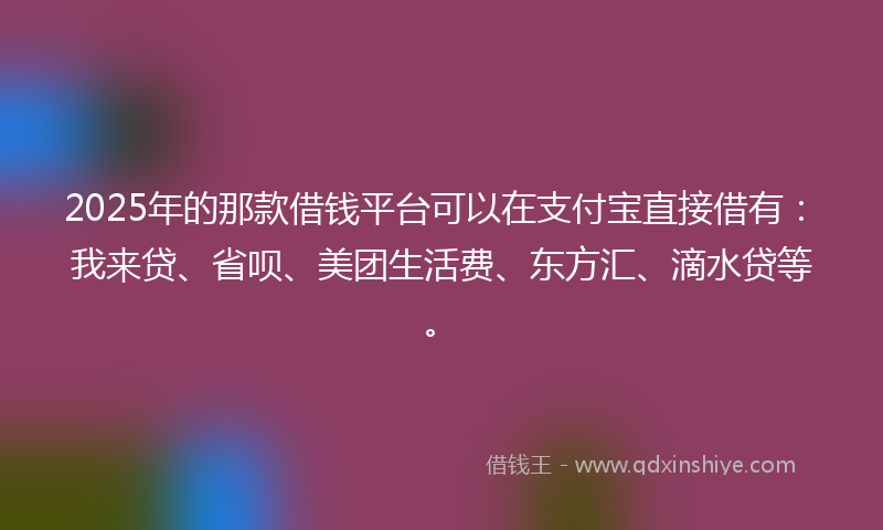 2025年的那款借钱平台可以在支付宝直接借有：我来贷、省呗、美团生活费、东方汇、滴水贷等。