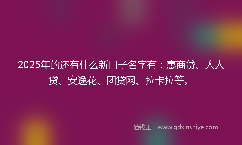 2025年的还有什么新口子名字有：惠商贷、人人贷、安逸花、团贷网、拉卡拉等。