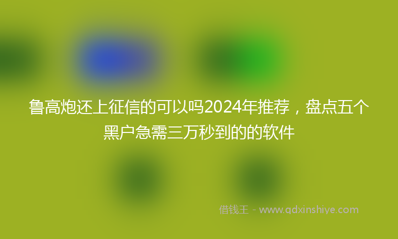 鲁高炮还上征信的可以吗2024年推荐，盘点五个黑户急需三万秒到的的软件