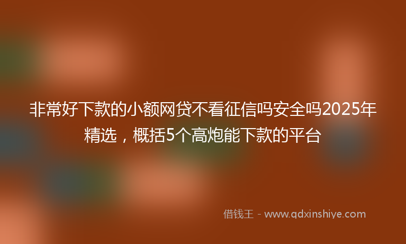 非常好下款的小额网贷不看征信吗安全吗2025年精选，概括5个高炮能下款的平台