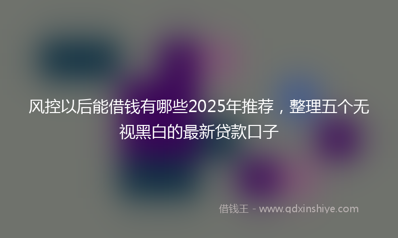 风控以后能借钱有哪些2025年推荐，整理五个无视黑白的最新贷款口子