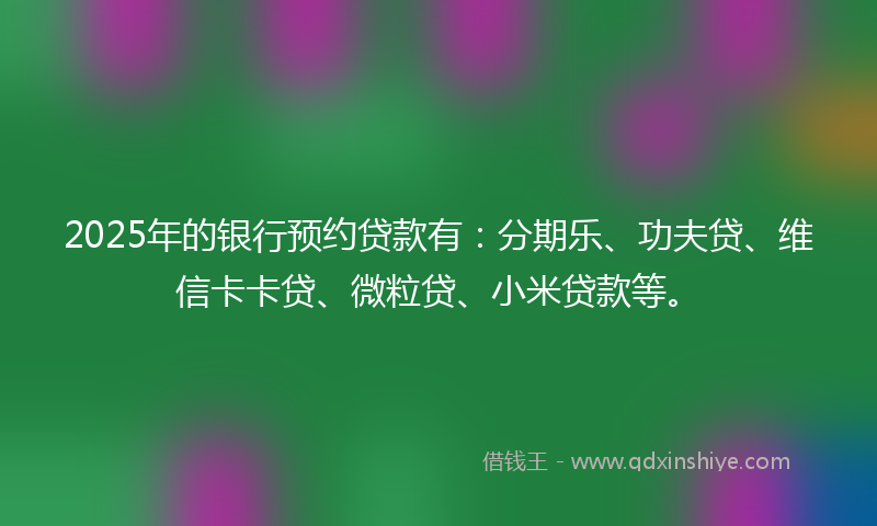 2025年的银行预约贷款有：分期乐、功夫贷、维信卡卡贷、微粒贷、小米贷款等。