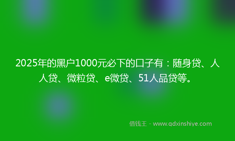 2025年的黑户1000元必下的口子有：随身贷、人人贷、微粒贷、e微贷、51人品贷等。