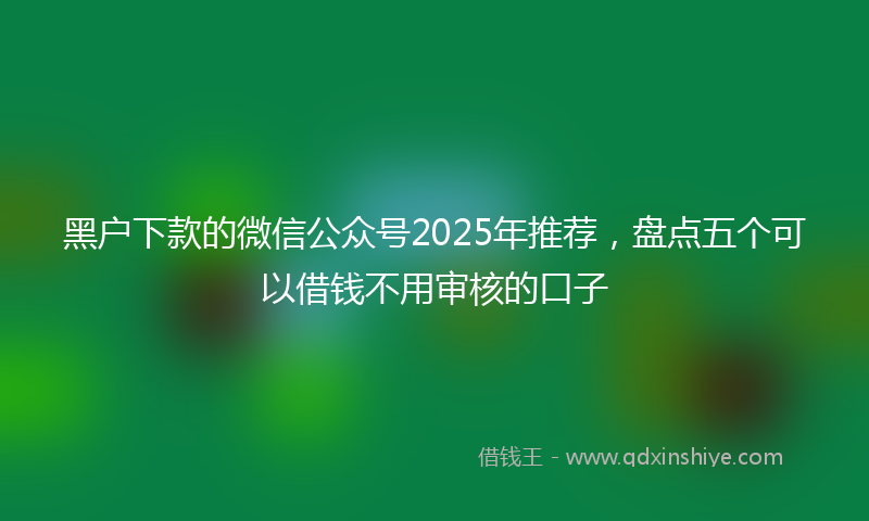 黑户下款的微信公众号2025年推荐，盘点五个可以借钱不用审核的口子