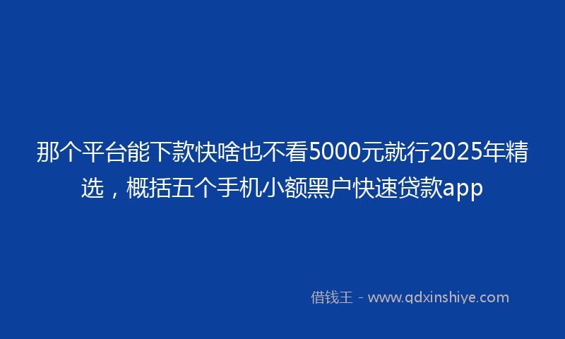 那个平台能下款快啥也不看5000元就行2025年精选，概括五个手机小额黑户快速贷款app