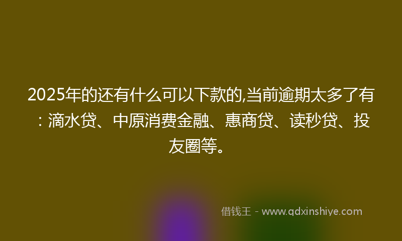 2025年的还有什么可以下款的,当前逾期太多了有：滴水贷、中原消费金融、惠商贷、读秒贷、投友圈等。