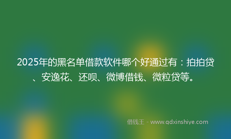 2025年的黑名单借款软件哪个好通过有：拍拍贷、安逸花、还呗、微博借钱、微粒贷等。