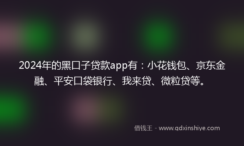 2024年的黑口子贷款app有：小花钱包、京东金融、平安口袋银行、我来贷、微粒贷等。