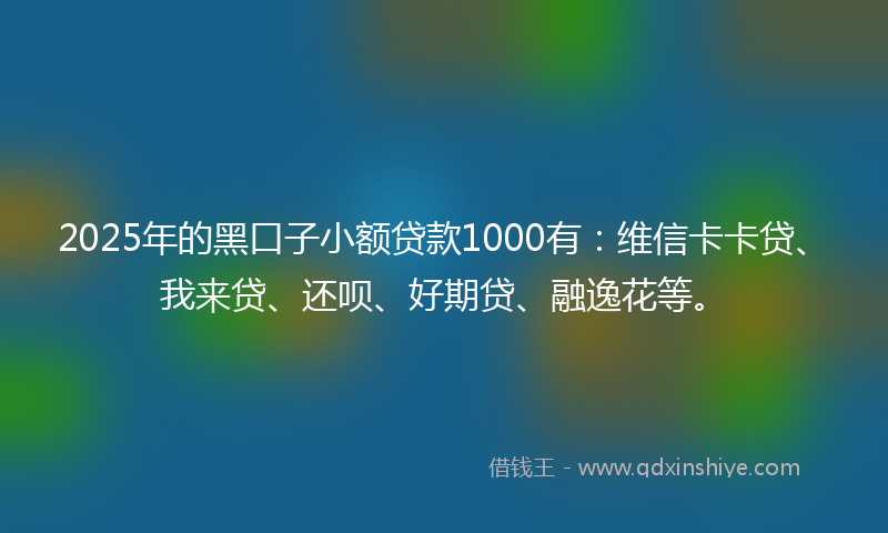 2025年的黑口子小额贷款1000有：维信卡卡贷、我来贷、还呗、好期贷、融逸花等。