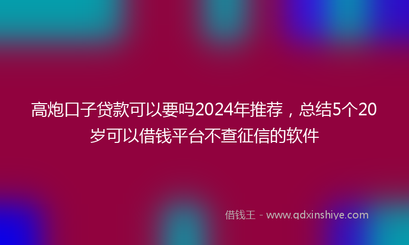 高炮口子贷款可以要吗2024年推荐，总结5个20岁可以借钱平台不查征信的软件