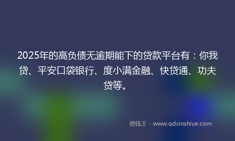 2025年的高负债无逾期能下的贷款平台有：你我贷、平安口袋银行、度小满金融、快贷通、功夫贷等。