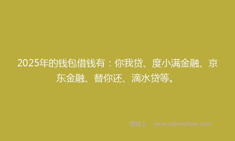 2025年的钱包借钱有：你我贷、度小满金融、京东金融、替你还、滴水贷等。