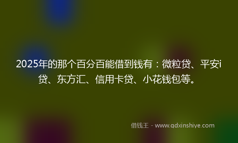 2025年的那个百分百能借到钱有：微粒贷、平安i贷、东方汇、信用卡贷、小花钱包等。