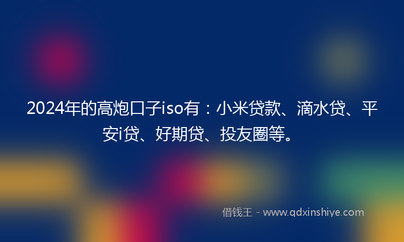 2024年的高炮口子iso有：小米贷款、滴水贷、平安i贷、好期贷、投友圈等。