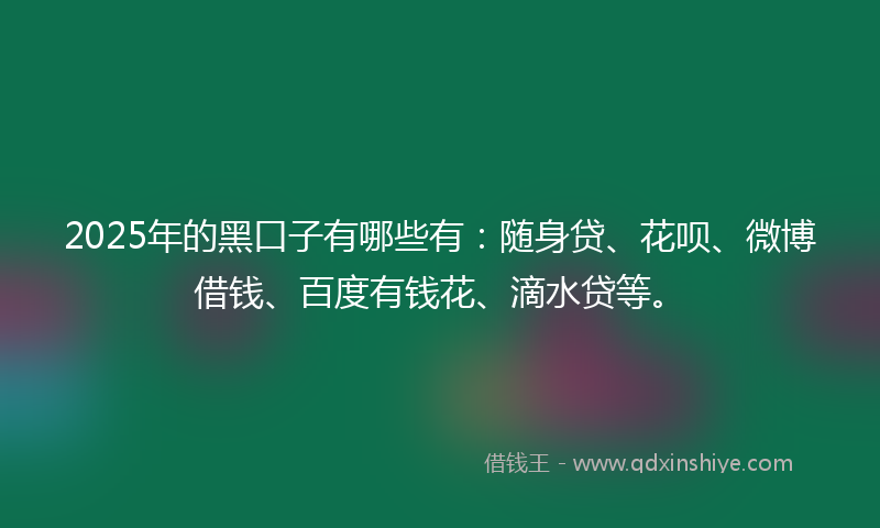 2025年的黑口子有哪些有：随身贷、花呗、微博借钱、百度有钱花、滴水贷等。