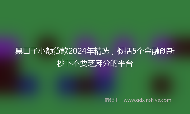 黑口子小额贷款2024年精选，概括5个金融创新秒下不要芝麻分的平台
