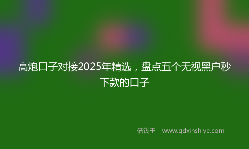 高炮口子对接2025年精选，盘点五个无视黑户秒下款的口子